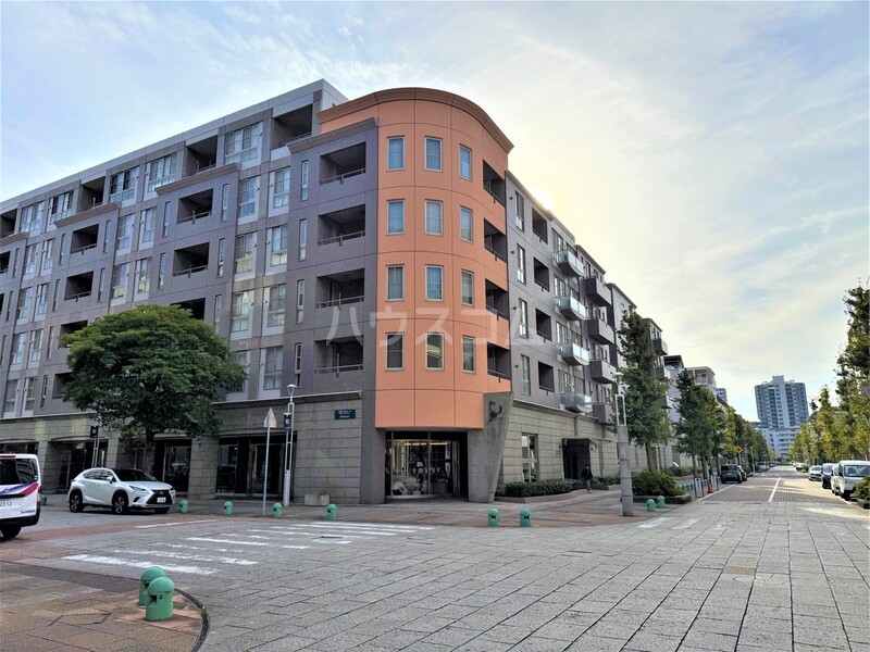 5/17 その他画像