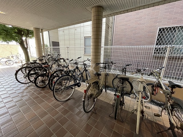 20/30 その他画像