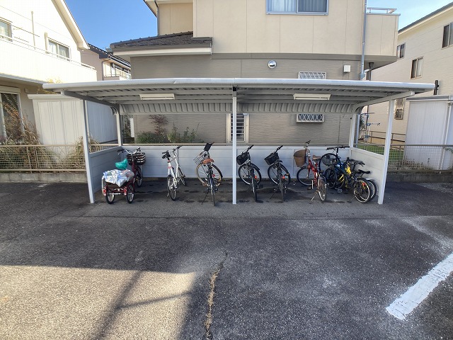 20/30 その他画像