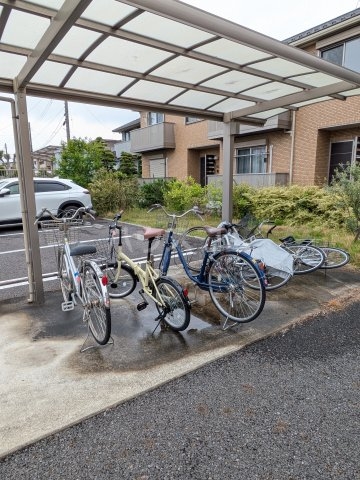その他共有