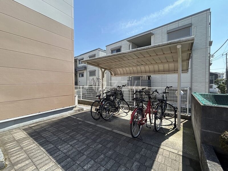 20/30 その他画像