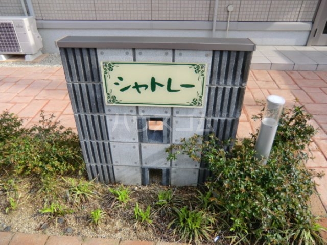 3/11 その他画像