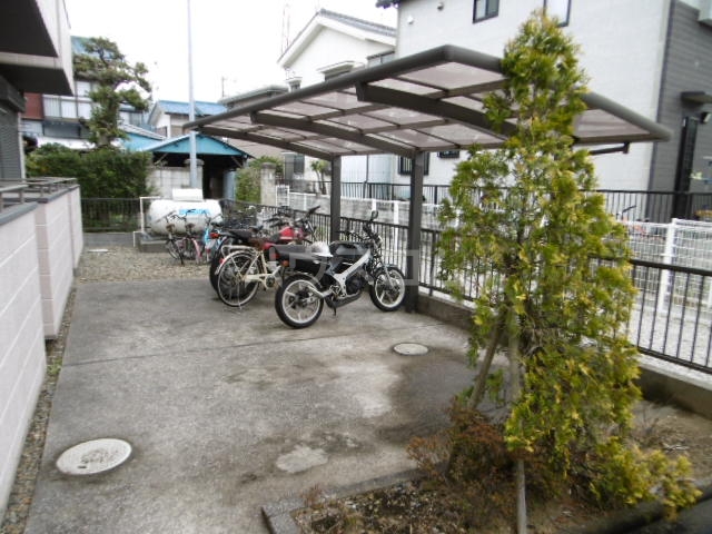 20/30 その他画像