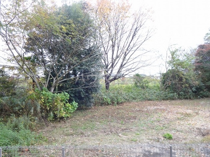 11/19 その他画像