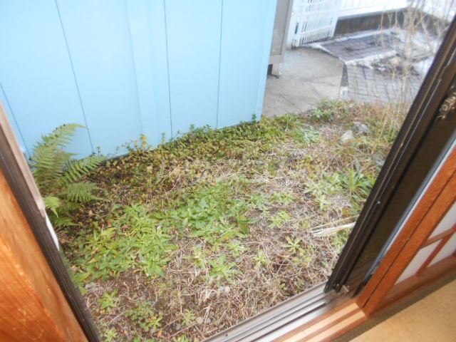 21/28 その他画像