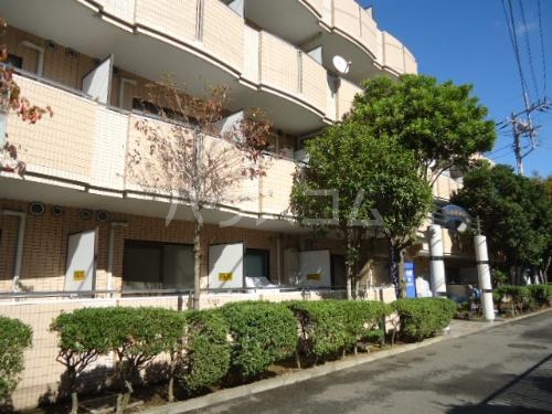 6/14 その他画像