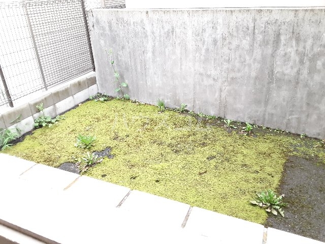 15/30 その他画像