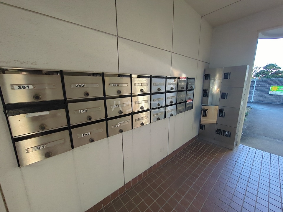 17/25 その他画像