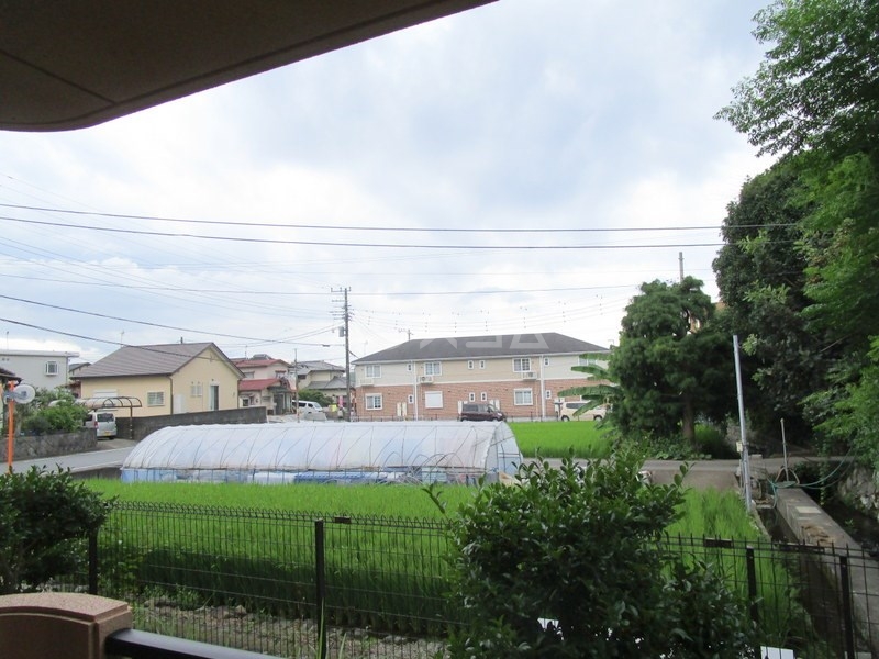 16/20 その他画像