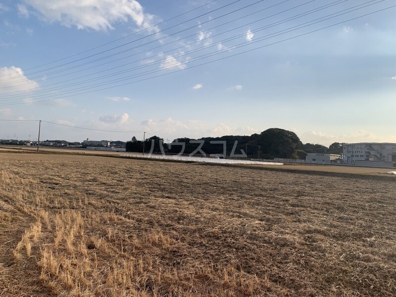 17/23 その他画像