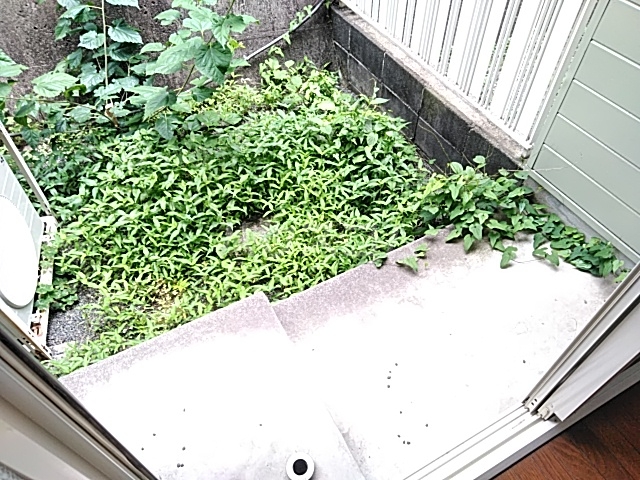 16/21 バルコニー