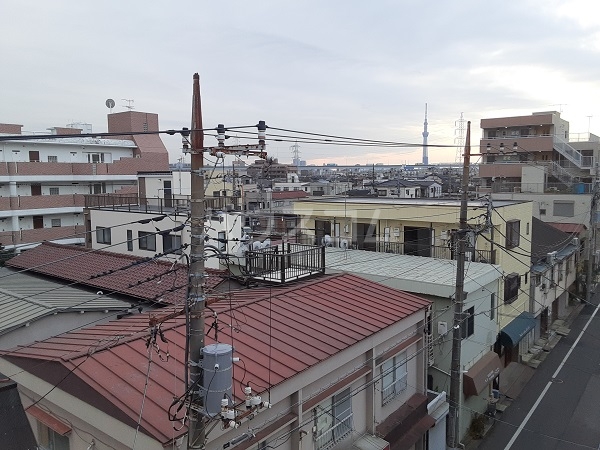 20/30 その他画像