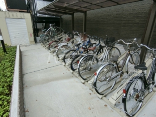 15/29 その他画像