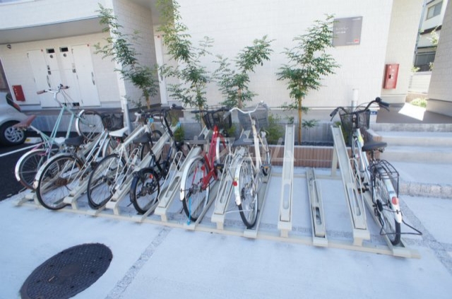 17/28 その他画像