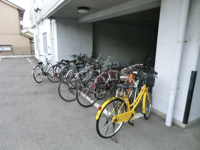 20/30 その他画像