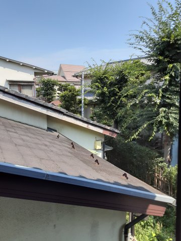 20/23 その他画像