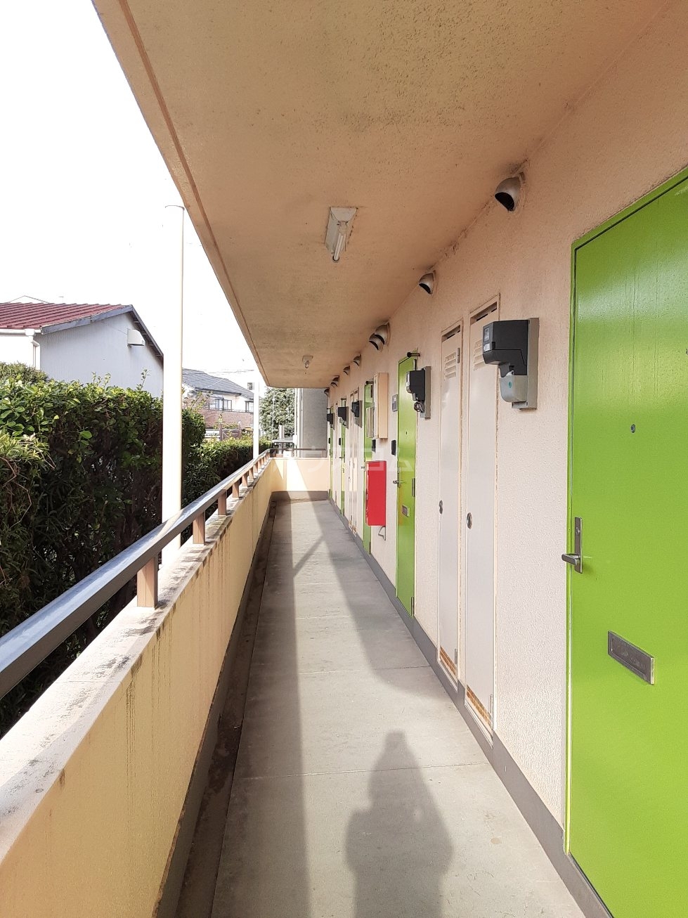 26/30 その他画像