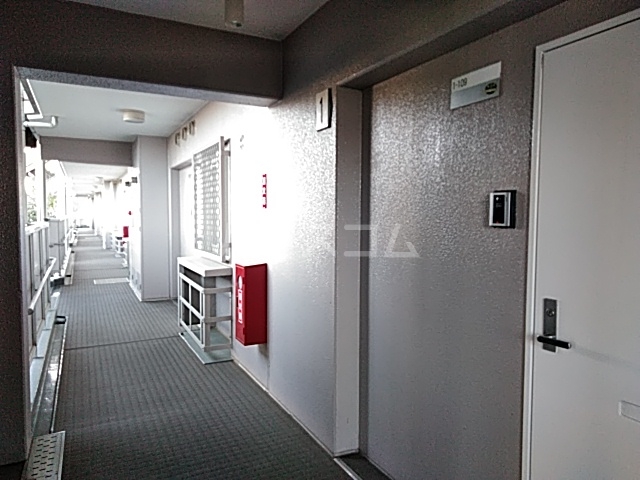 27/30 その他画像