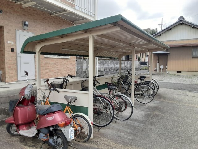 20/30 その他画像