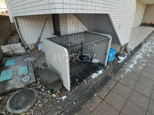 20/29 その他画像