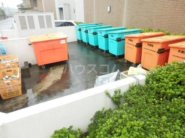 20/30 その他画像