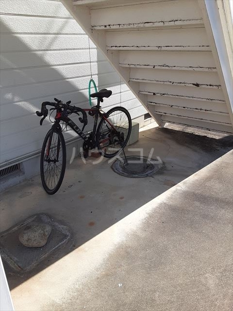 20/30 その他画像