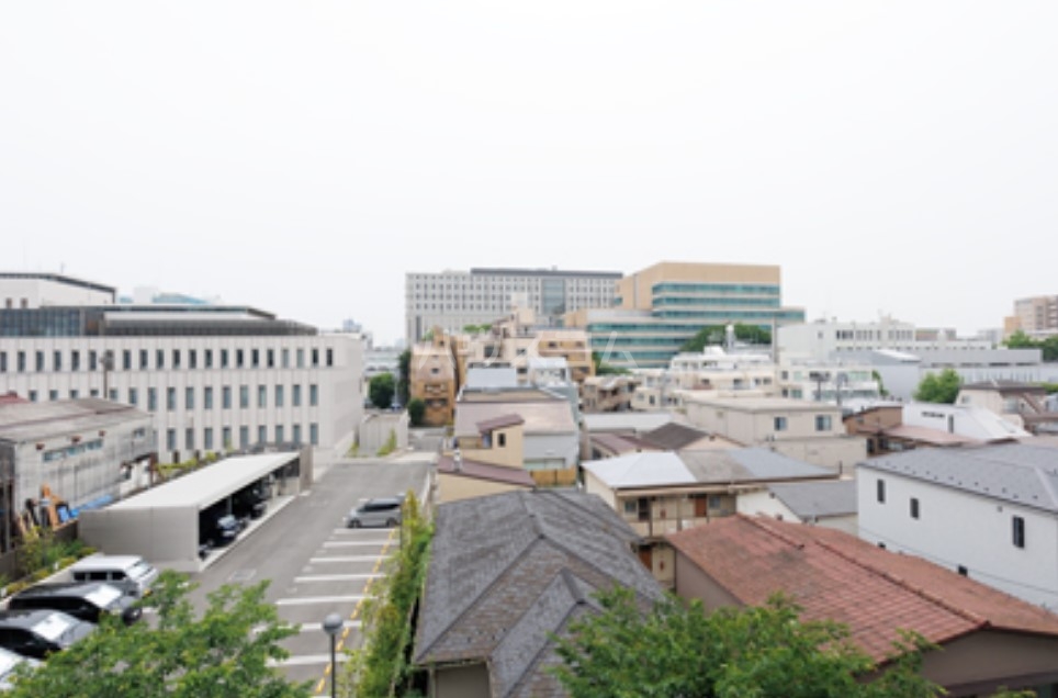 11/23 その他画像