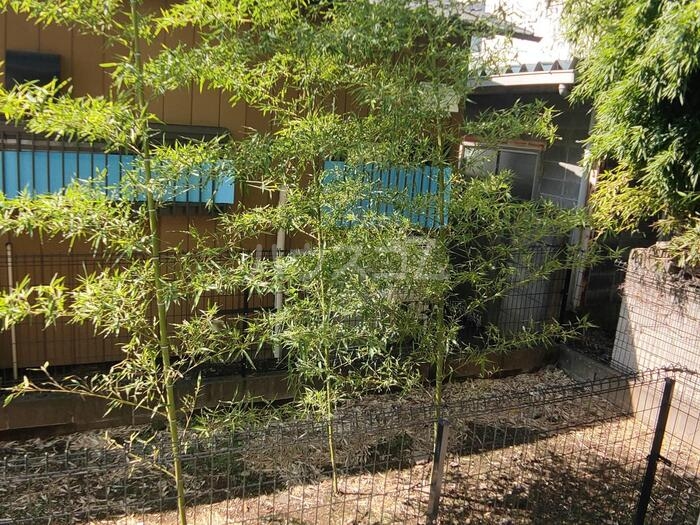 15/30 その他画像