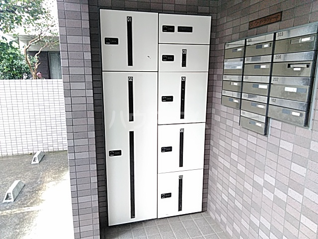 20/30 その他画像