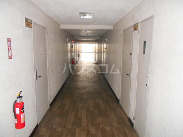 15/19 その他画像