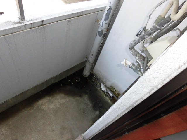 17/29 その他画像