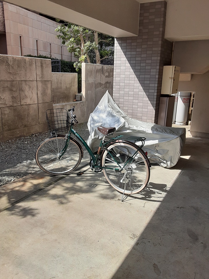 20/30 その他画像