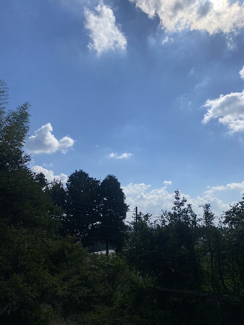 21/22 その他画像