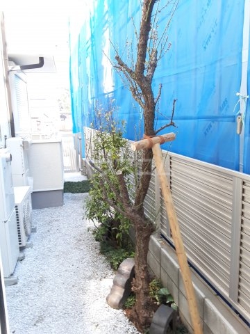 15/21 その他画像