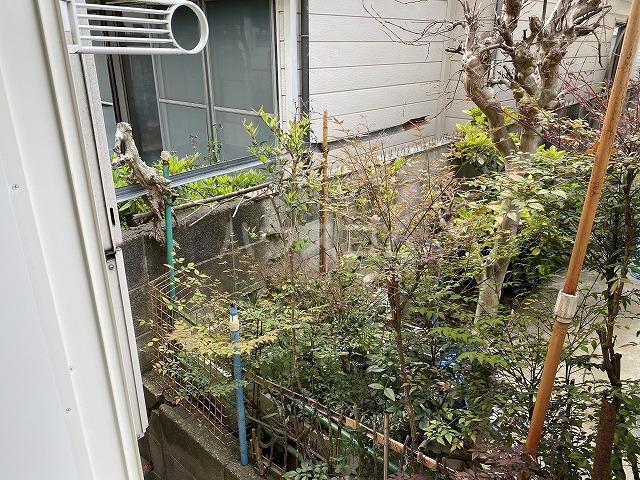 16/30 その他画像