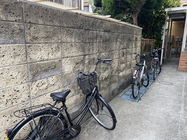 20/30 その他画像