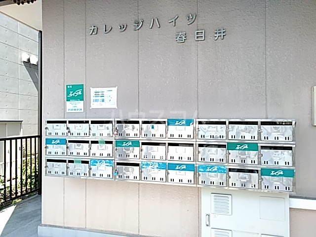 25/30 その他画像