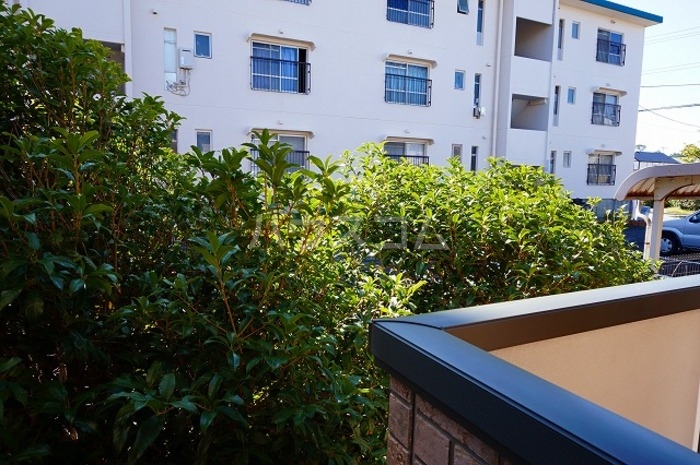 12/23 その他画像