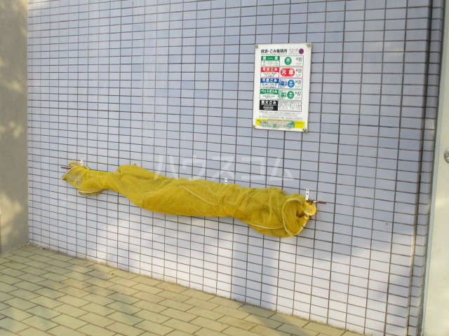 17/29 その他画像