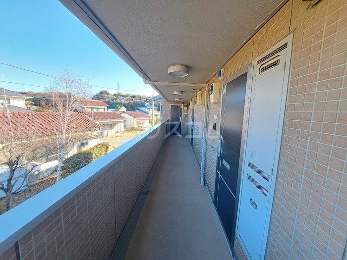 17/25 その他画像