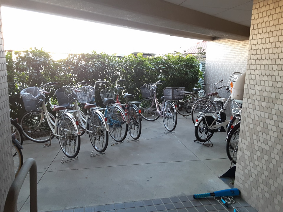 29/30 その他画像