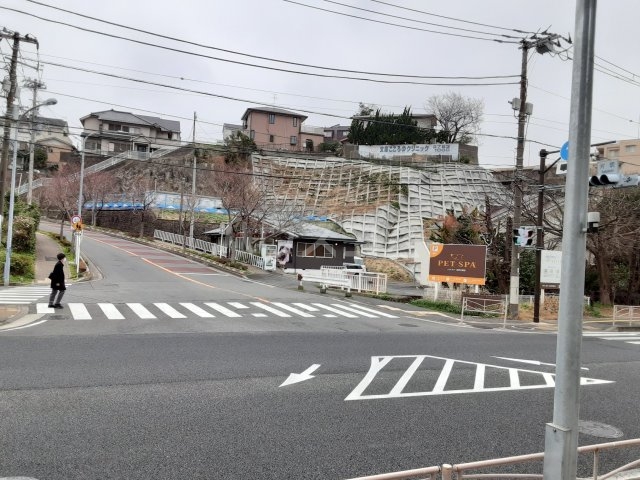 19/24 その他画像