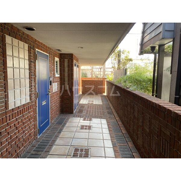 20/30 その他画像