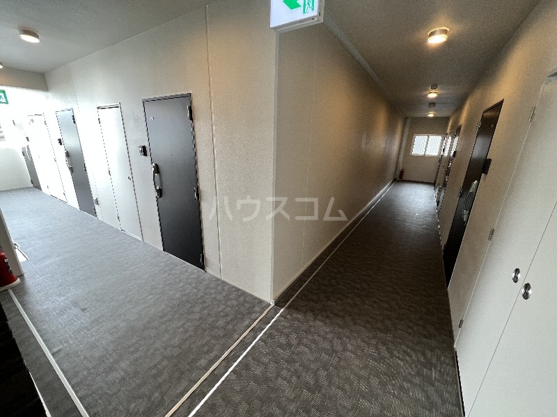 20/30 その他画像