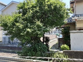 18/27 その他画像