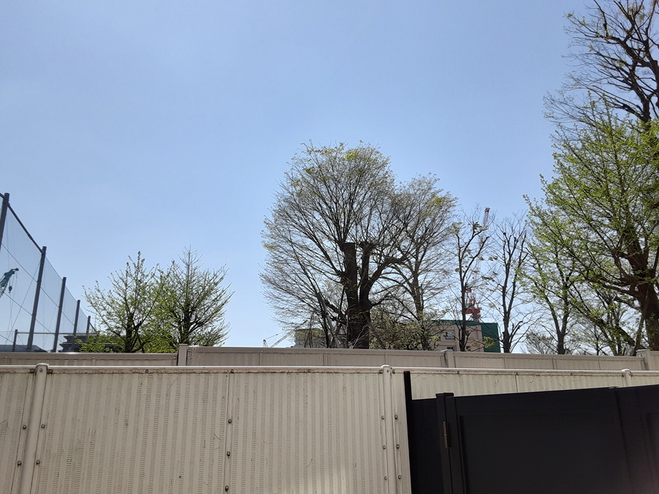 13/22 その他画像