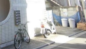 20/30 その他画像