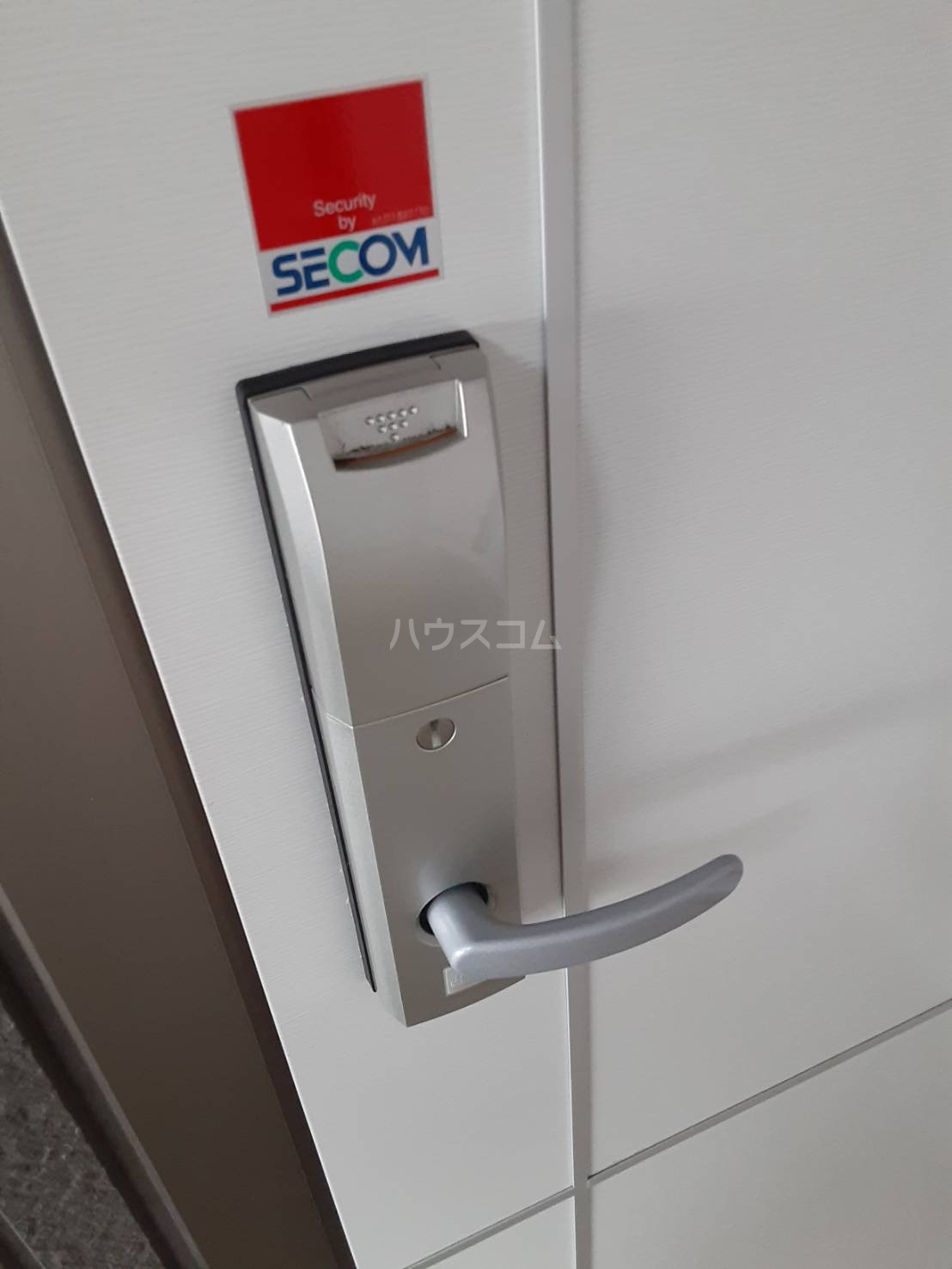 21/26 その他画像