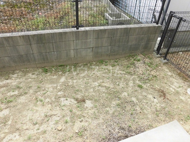 17/28 その他画像