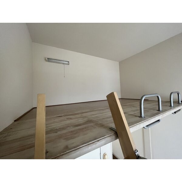 12/22 その他画像